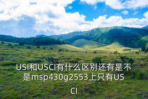 USI和USCI有什么區(qū)別還有是不是msp430g2553上只有USCI
