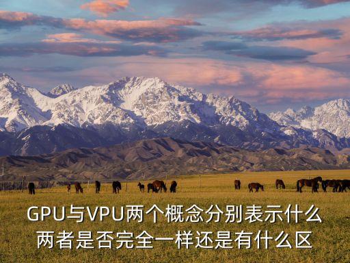 GPU與VPU兩個概念分別表示什么兩者是否完全一樣還是有什么區(qū)