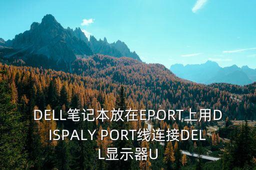 eport，DELL筆記本放在EPORT上用DISPALY PORT線連接DELL顯示器U