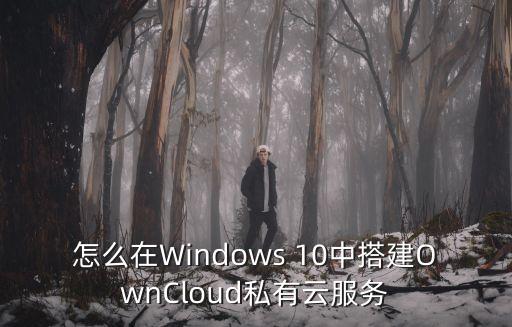 怎么在Windows 10中搭建OwnCloud私有云服務