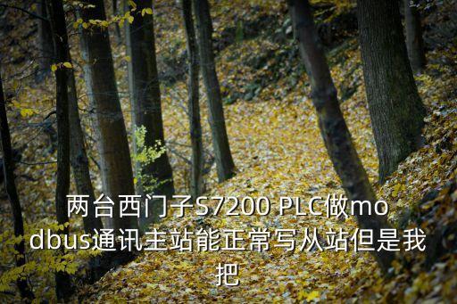 兩臺西門子S7200 PLC做modbus通訊主站能正常寫從站但是我把