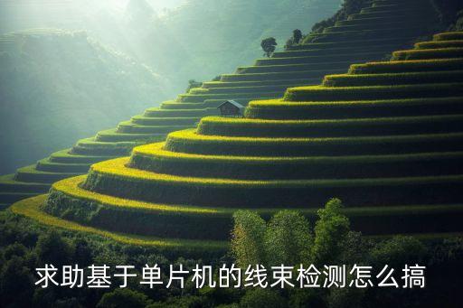 求助基于單片機(jī)的線束檢測怎么搞