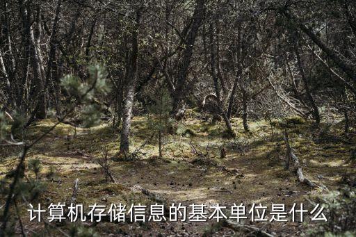 計算機存儲單位，計算機存儲單位