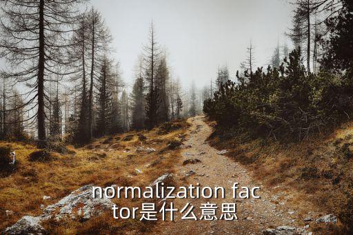normalization factor是什么意思