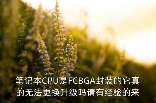 fcbga，插槽類型為FCBGA1023PPGA988是什么意思