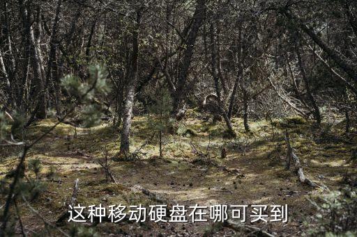 這種移動硬盤在哪可買到