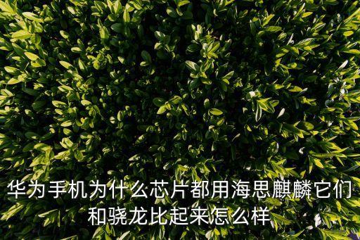 華為手機為什么芯片都用海思麒麟它們和驍龍比起來怎么樣