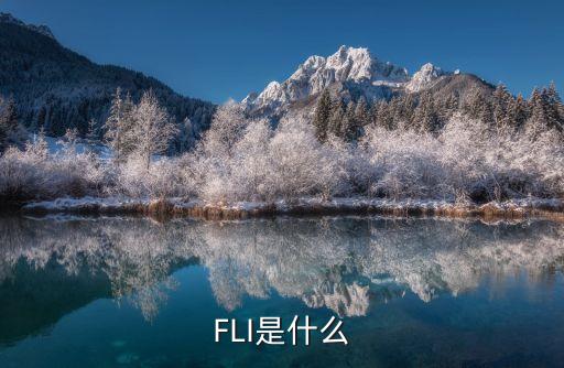 FLI是什么