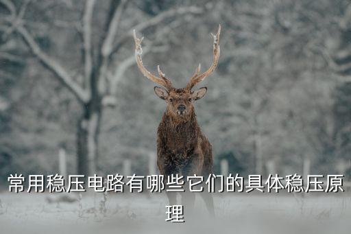 常用穩(wěn)壓電路有哪些它們的具體穩(wěn)壓原理