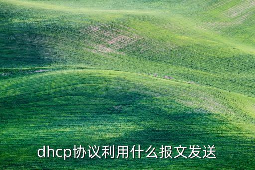 dhcp報(bào)文，如何確定dhcp報(bào)文分析中type的類型
