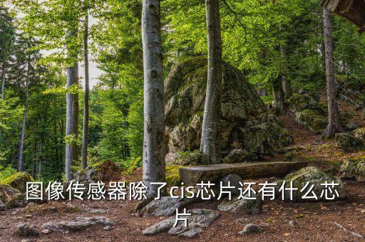 cis芯片，掃描儀的元件CCD和CIS分別表示的是什么意思