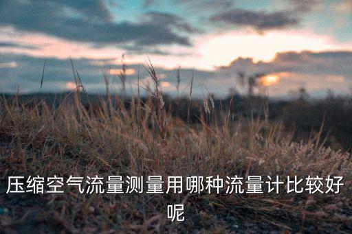 壓縮空氣流量測(cè)量用哪種流量計(jì)比較好呢