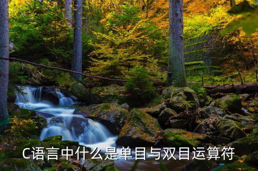 C語言中什么是單目與雙目運(yùn)算符
