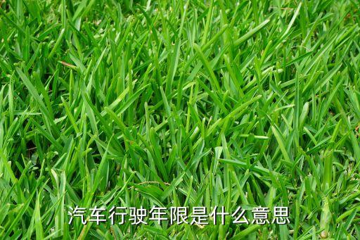 汽車行駛年限是什么意思