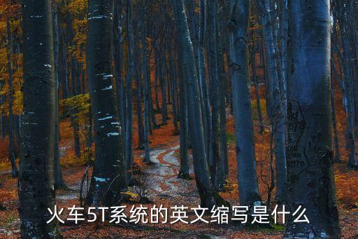 火車(chē)5T系統(tǒng)的英文縮寫(xiě)是什么