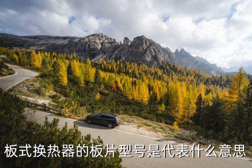 板式換熱器的板片型號是代表什么意思