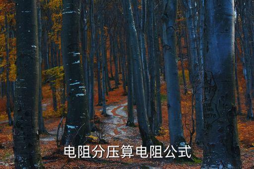 電阻分壓算電阻公式