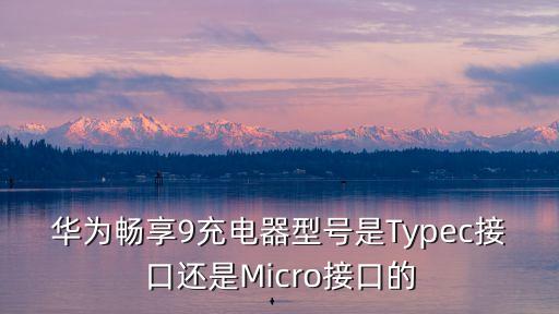 華為暢享9充電器型號(hào)是Typec接口還是Micro接口的