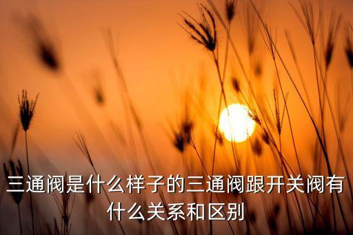 三通閥門，三通閥是什么樣子的三通閥跟開關(guān)閥有什么關(guān)系和區(qū)別