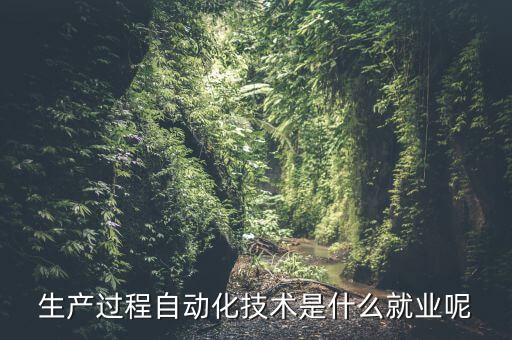 生產過程自動化技術是什么就業(yè)呢