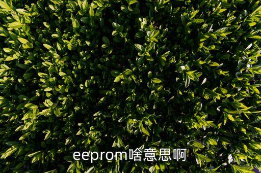 eeprom，什么是EEROM擴展電路主要特點是什么
