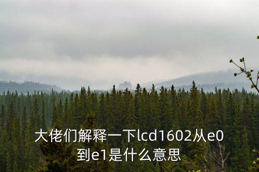 大佬們解釋一下lcd1602從e0到e1是什么意思