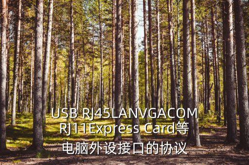 USB RJ45LANVGACOMRJ11Express Card等電腦外設(shè)接口的協(xié)議