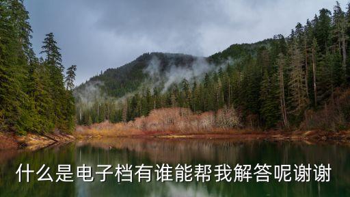 什么是電子檔有誰能幫我解答呢謝謝