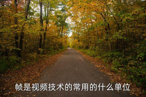 幀是視頻技術(shù)的常用的什么單位