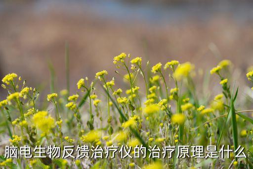 電子生物反饋療法，腦電生物反饋治療儀的治療原理是什么