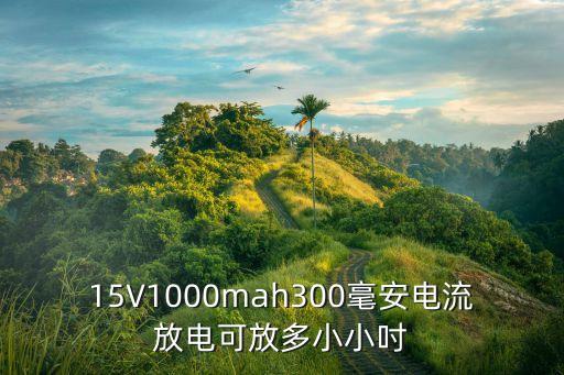 15V1000mah300毫安電流放電可放多小小吋