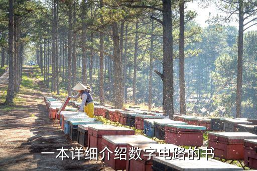 一本詳細(xì)介紹數(shù)字電路的書