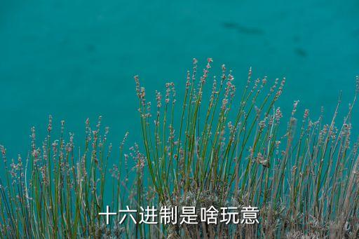 十六進(jìn)制是啥玩意