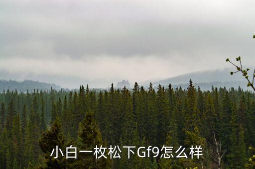 小白一枚松下Gf9怎么樣