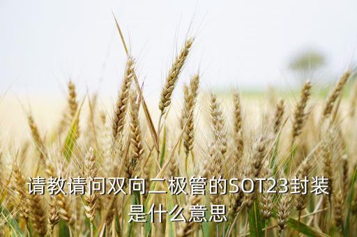 sot封裝，SOT32是什么封裝32指的是什么