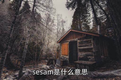 sesam是什么意思