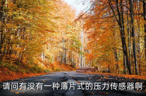 請(qǐng)問有沒有一種薄片式的壓力傳感器啊
