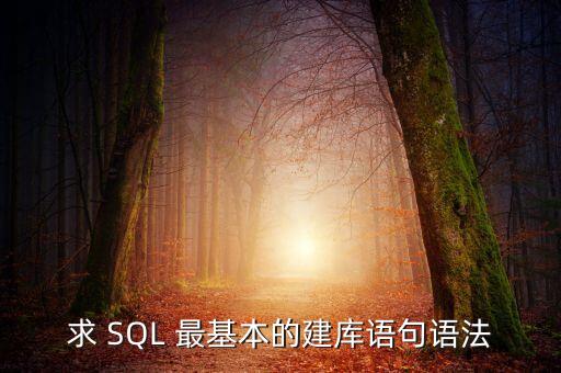 建庫，求 SQL 最基本的建庫語句語法