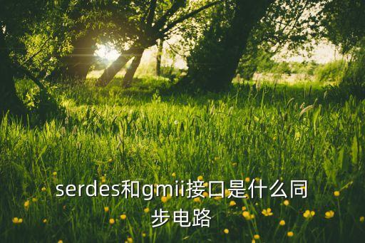 serdes和gmii接口是什么同步電路