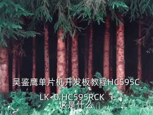 吳鑒鷹單片機開發(fā)板教程HC595CLK  0 HC595RCK  1這是什么
