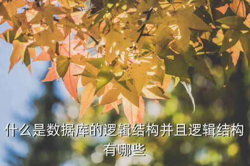 邏輯結(jié)構(gòu)，什么叫做邏輯結(jié)構(gòu)和物理結(jié)構(gòu)