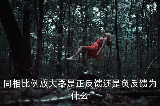 同相比例放大器是正反饋還是負(fù)反饋為什么