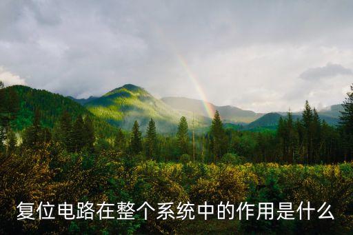 復(fù)位電路的作用，復(fù)位電路在整個(gè)系統(tǒng)中的作用是什么