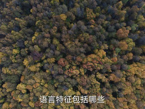 語(yǔ)言特征包括哪些