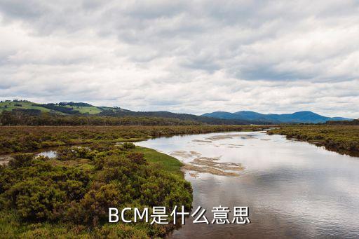 bcm，BCM智能化自動關(guān)窗系統(tǒng)是什么意思