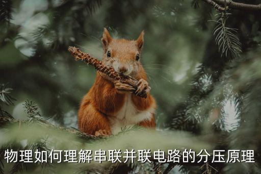 物理如何理解串聯(lián)并聯(lián)電路的分壓原理