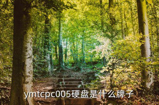 ymtc，DNF有一個鬼泣刷悲鳴的歌曲很柔和什么名字