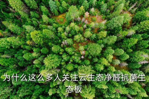 為什么這么多人關(guān)注云生態(tài)凈醛抗菌生態(tài)板
