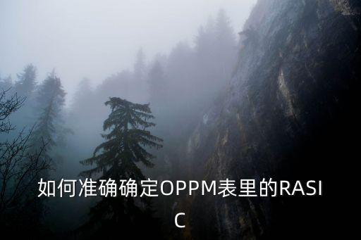 rasic，請(qǐng)問有誰RASIC是什么牌子