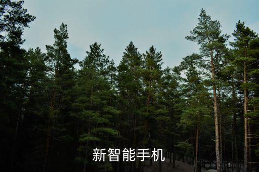 華為最新款，新智能手機(jī)